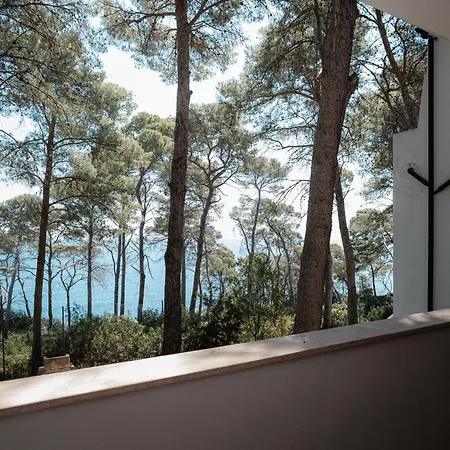 Apartment Elefante Isole Tremiti