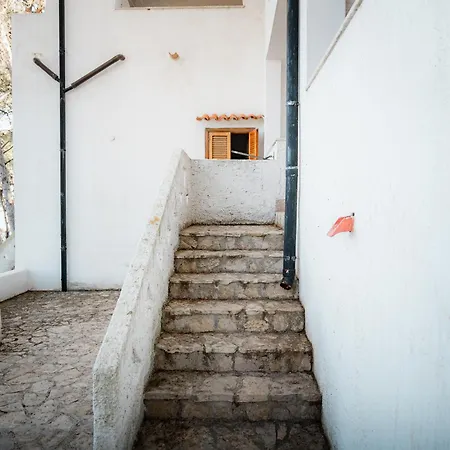 Apartment Elefante